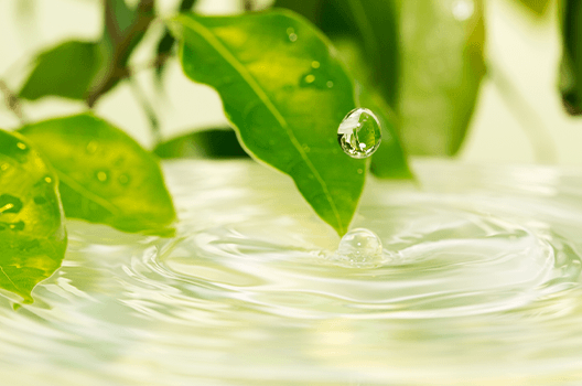 水資源の保全・エネルギー効率の向上